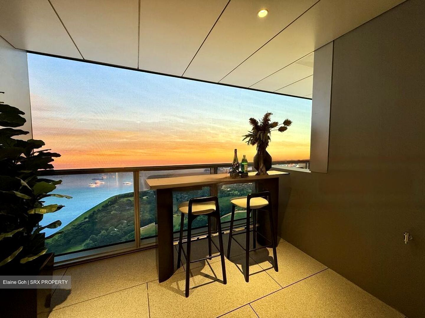 Marina View (D1), Condominium #460063131